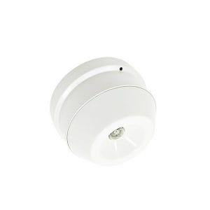 Đầu báo lửa tử ngoại Hochiki HF-24