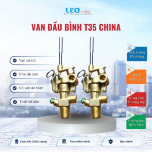 Van đầu bình T35 China