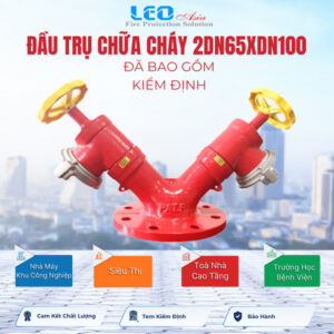 Đầu trụ chữa cháy 2DN65xDN100 đã bao gồm kiểm định