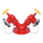 Đầu trụ chữa cháy 2DN65xDN100 đã bao gồm kiểm định