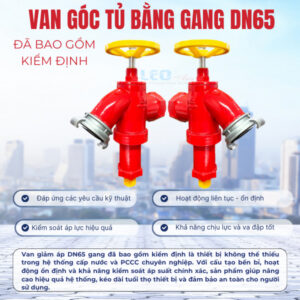 Van giảm áp DN65 gang đã bao gồm kiểm định