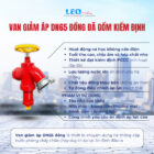Van giảm áp DN65 đồng đã bao gồm kiểm định